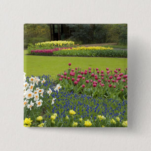 Chapa Cuadrada Países Bajos (Holanda), Lisse. Keukenhof 5