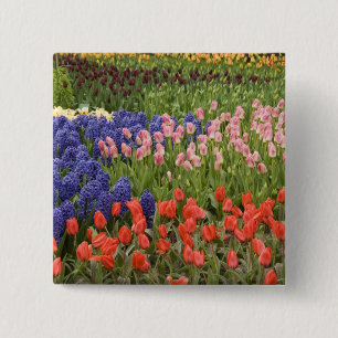 Chapa Cuadrada Países Bajos (Holanda), Lisse. Keukenhof 9