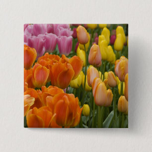 Chapa Cuadrada Países Bajos (Holanda), Lisse. Keukenhof 9