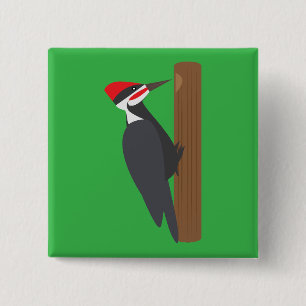 Chapa Cuadrada Pájaro carpintero