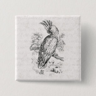 Chapa Cuadrada Pájaros del Cockatiel del pájaro del loro de