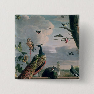 Chapa Cuadrada Palacio de Amsterdam con los pájaros exóticos