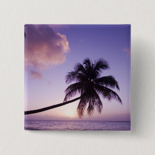 Chapa Cuadrada Palmera solitaria al atardecer, playa Coconut Grov