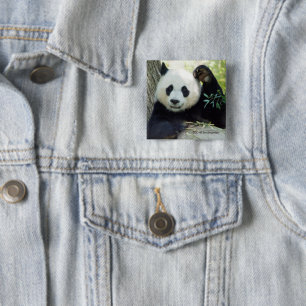 Chapa Cuadrada Panda gigante que descansa contra árbol