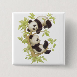 Chapa Cuadrada Pandas lindas