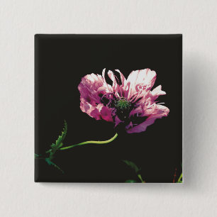 Chapa Cuadrada Papaver Sugarplum