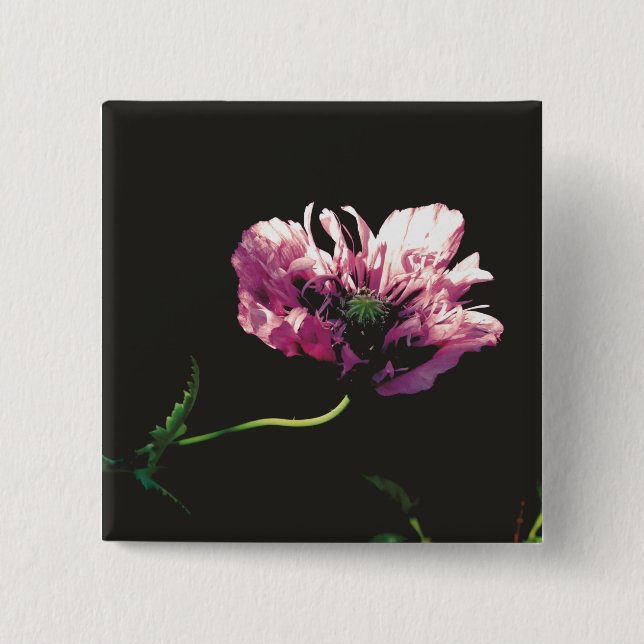 Chapa Cuadrada Papaver Sugarplum (Anverso)