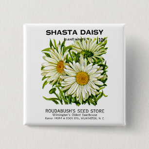 Chapa Cuadrada Paquete Shasta Daisy Vintage Seed