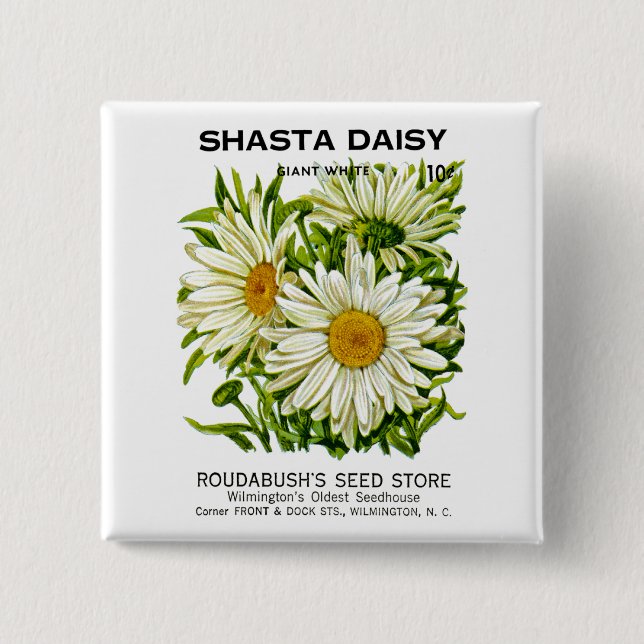 Chapa Cuadrada Paquete Shasta Daisy Vintage Seed (Anverso)
