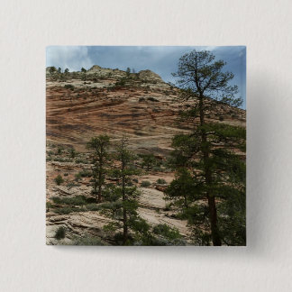 Chapa Cuadrada Paredes de roca desgastadas en el Parque Nacional