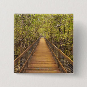 Chapa Cuadrada Parque nacional de Daintree (patrimonio mundial de