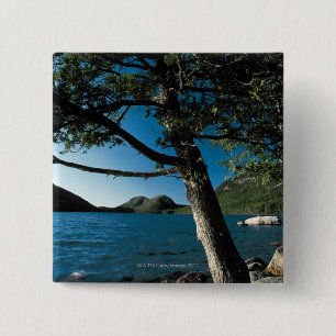 Chapa Cuadrada Parque nacional del Acadia, charca de Londres,