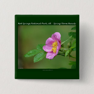 Chapa Cuadrada Parque Nacional Hot Springs, AR Regalos Wild Rose