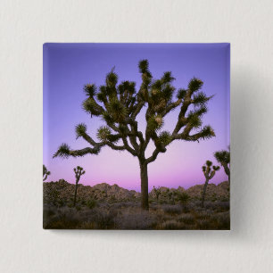 CHAPA CUADRADA PARQUE NACIONAL JOSHUA TREE, CALIFORNIA. EE.UU.