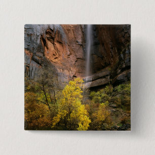 Chapa Cuadrada Parque Nacional Zion, Utah. EE. UU. Efímero