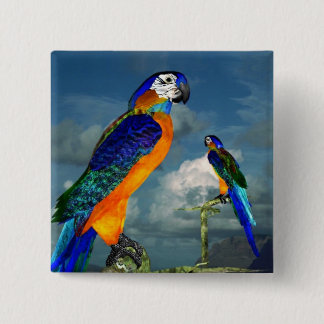 CHAPA CUADRADA PARROS HIPEROS / ARA AZUL