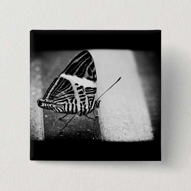 Chapa Cuadrada paso de mariposa (Anverso)
