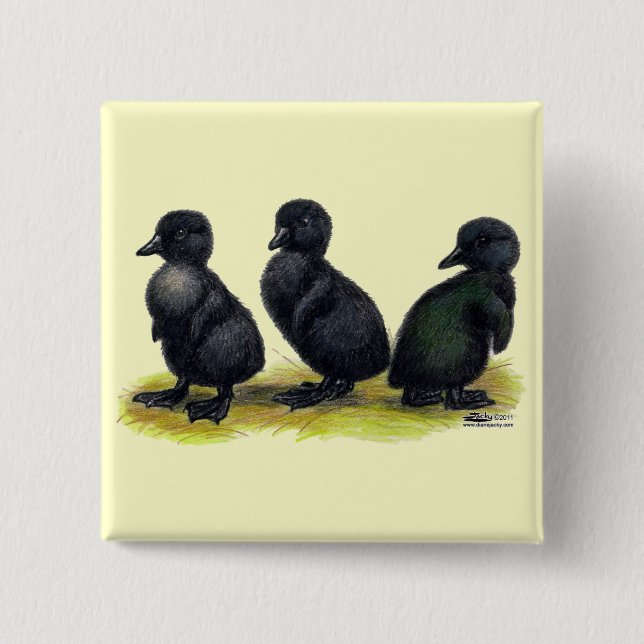 Chapa Cuadrada Patitos de Cayuga negra (Anverso)
