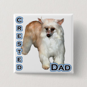 Chapa Cuadrada Pato de Polvo Crested