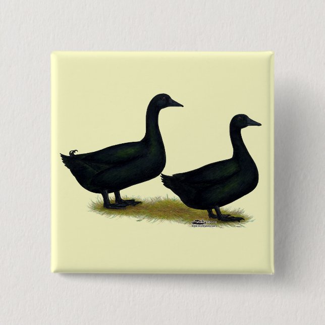 Chapa Cuadrada Patos:  Cayugas negro (Anverso)