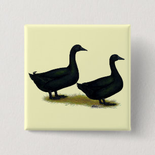 Chapa Cuadrada Patos: Cayugas negro