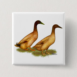 Chapa Cuadrada Patos: Khaki Campbell