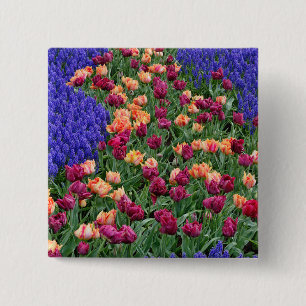 Chapa Cuadrada Patrón de tulipanes y flores de jacinto de uva,