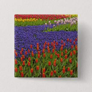 Chapa Cuadrada Patrón de tulipanes y flores de jacinto de uva, 2