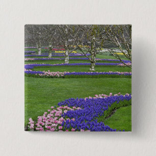 Chapa Cuadrada Patrón de tulipanes y flores de jacinto de uva, 4