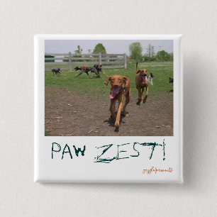 Chapa Cuadrada ¡Paw zest!