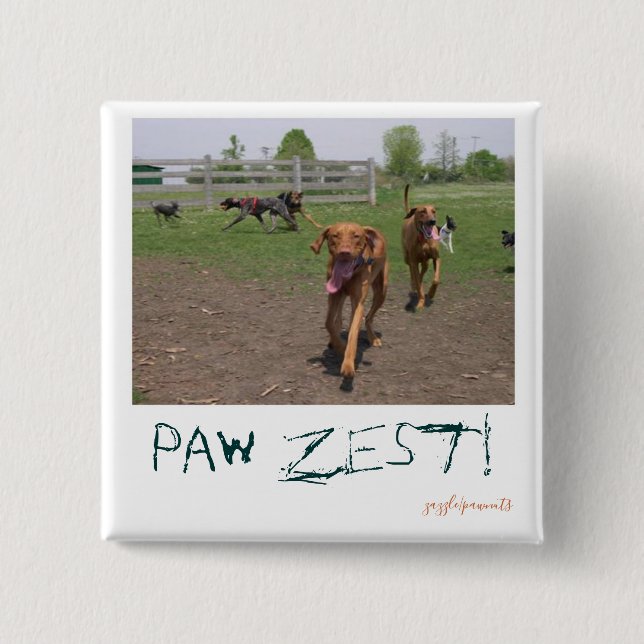Chapa Cuadrada ¡Paw zest! (Anverso)