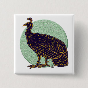 Chapa Cuadrada Peafowl: Impresionante Congo Hen