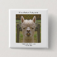 Pedazo del promo de la alpaca