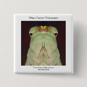 Chapa Cuadrada Pedazo del promo del camaleón