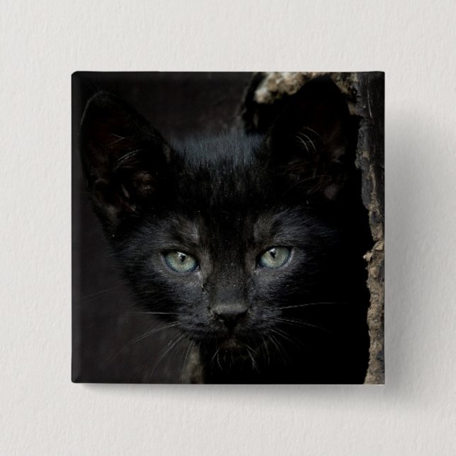 Chapa Cuadrada Pequeño gatito negro (Anverso)