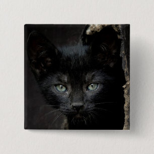 Chapa Cuadrada Pequeño gatito negro