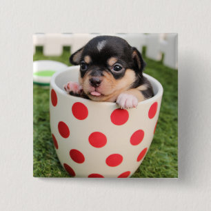 Chapa Cuadrada Pequeño perrito en la taza