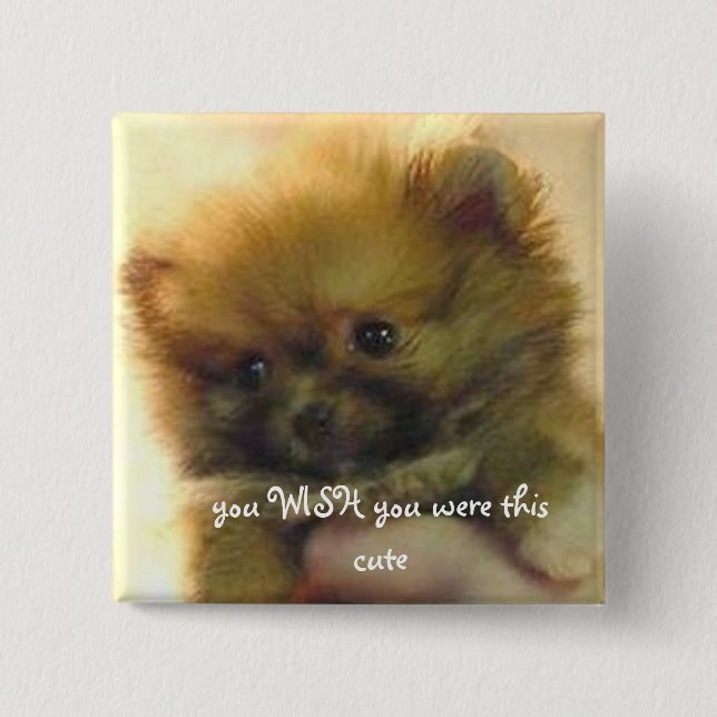 Chapa Cuadrada pequeño pomeranian lindo (Anverso)