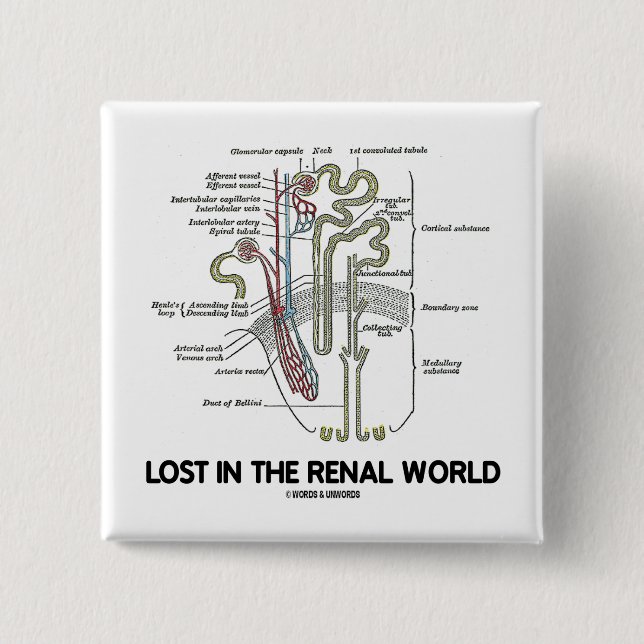 Chapa Cuadrada Perdido en el mundo renal (riñón Nephron) (Anverso)