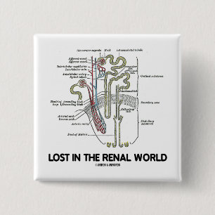 Chapa Cuadrada Perdido en el mundo renal (riñón Nephron)
