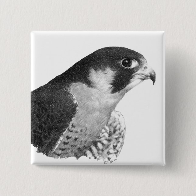 Chapa Cuadrada Peregrine Falcon-Pencil (Anverso)