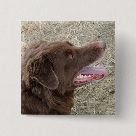 Chapa Cuadrada Perfil de P4 Flatlandersam