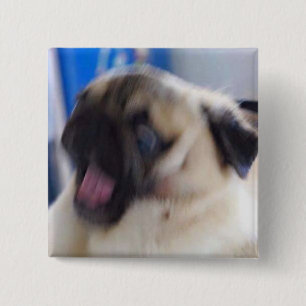 Chapa Cuadrada perno emocionado del puggo