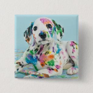 Chapa Cuadrada Perrito dálmata