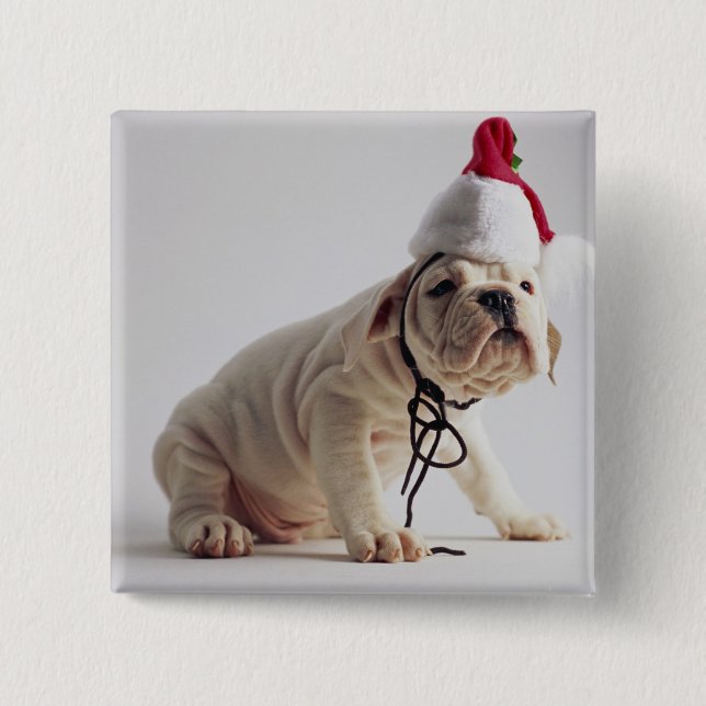 Chapa Cuadrada Perrito del bulldog que lleva el gorra de Santa (Anverso)