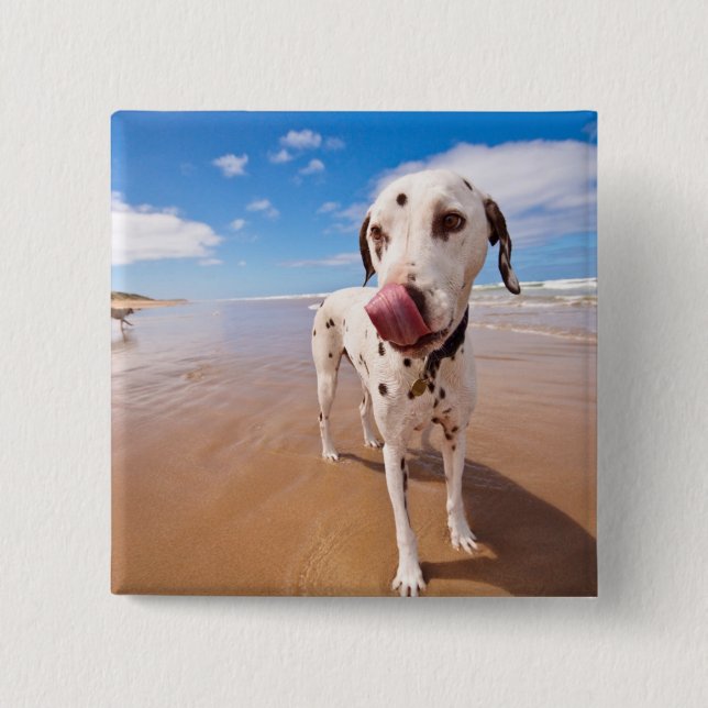 Chapa Cuadrada Perro dálmata en la playa (Anverso)