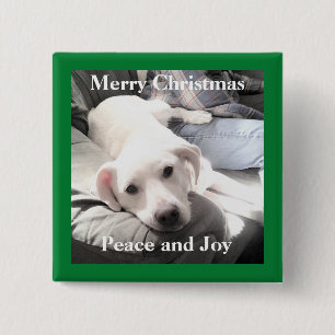 Chapa Cuadrada Perro de cachorro blanco lindo con papá en el sofá