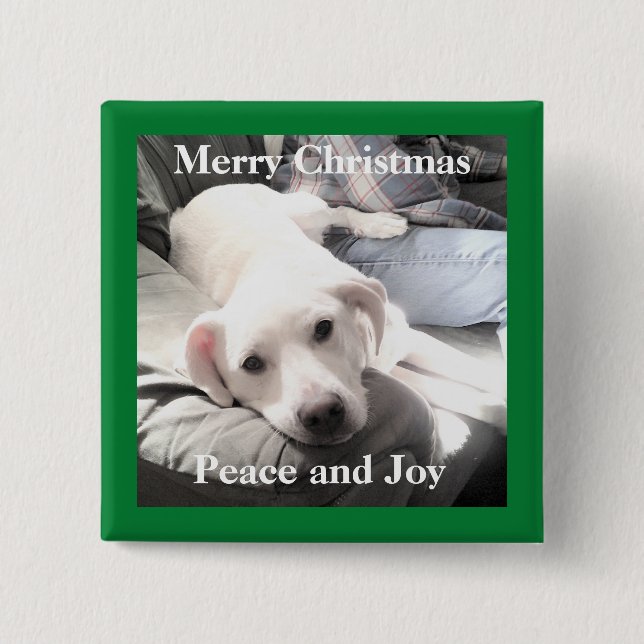 Chapa Cuadrada Perro de cachorro blanco lindo con papá en el sofá (Anverso)