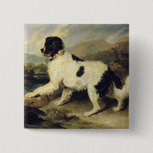 Chapa Cuadrada Perro de Terranova llamado León, 1824 (aceite en 