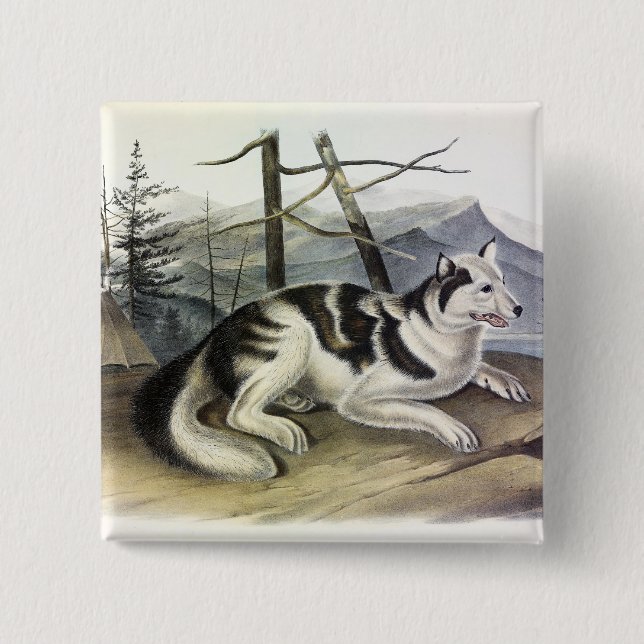 Chapa Cuadrada Perro hare-indio (perro del río Mackenzie) de Audu (Anverso)